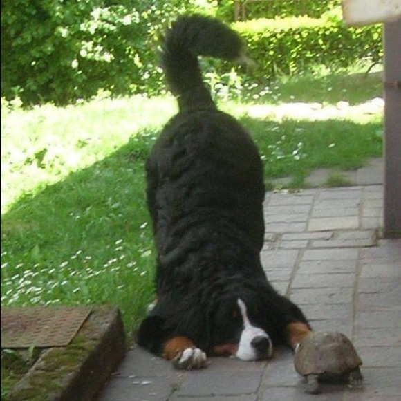 MOVING MY SHOP!!! - Picture 1 of 1